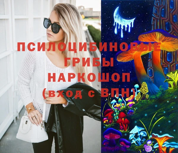 стафф Вязьма