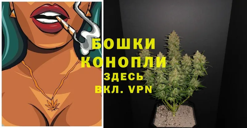 mega ТОР  Санкт-Петербург  Марихуана SATIVA & INDICA  где купить наркоту 